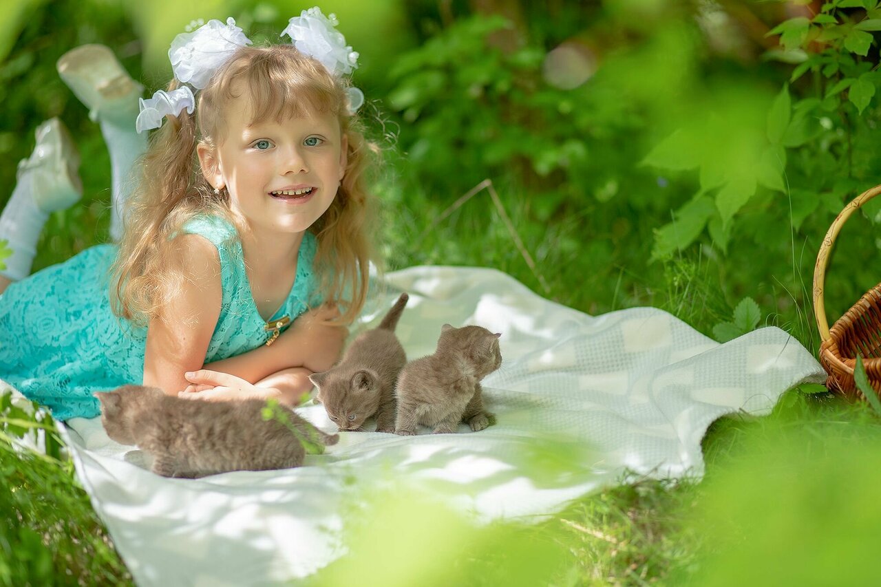 Гостевой дом Вишневый сад Городец-99