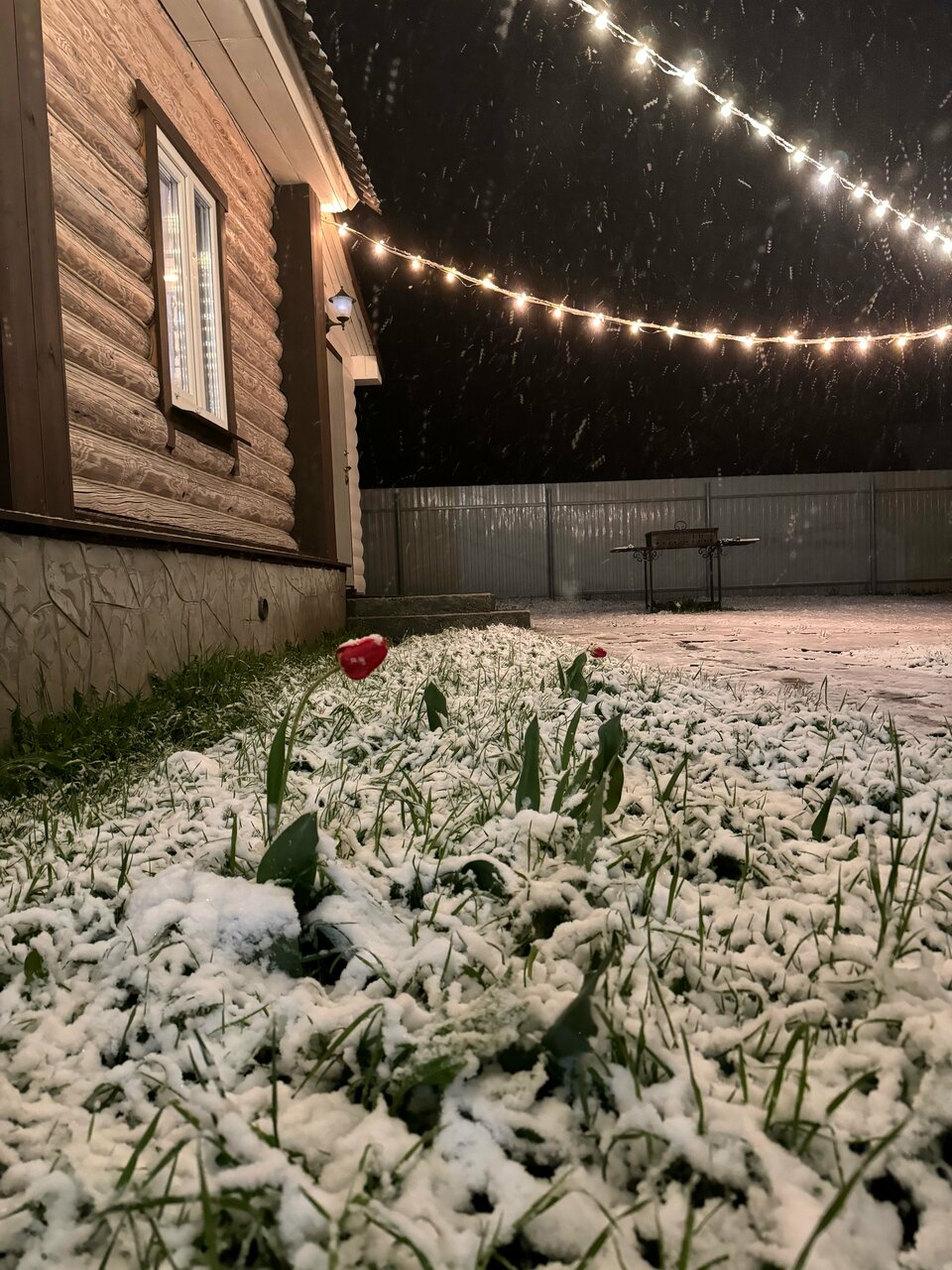 Гостевой дом Вишневый сад Городец-204