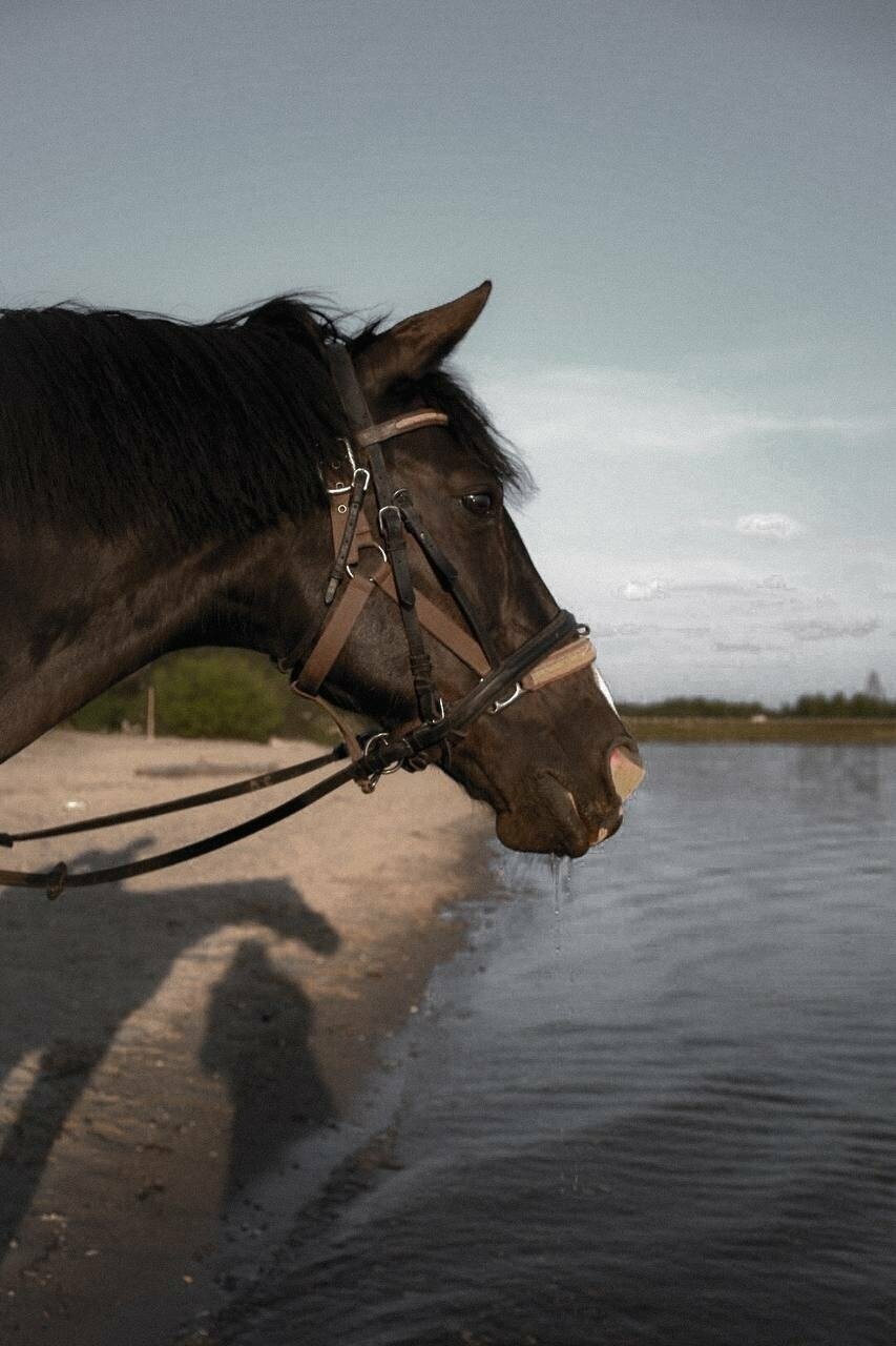 Гостевой дом Вишневый сад Городец-41