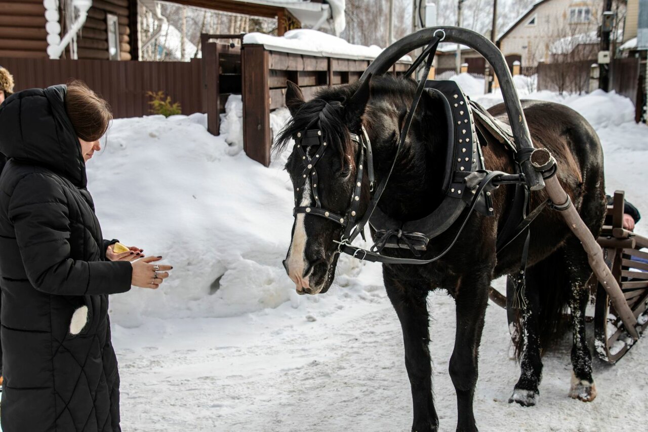 Гостевой дом Вишневый сад Городец-188