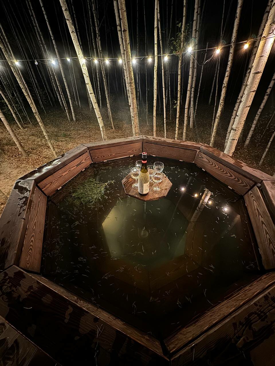 Гостевой дом Вишневый сад Городец