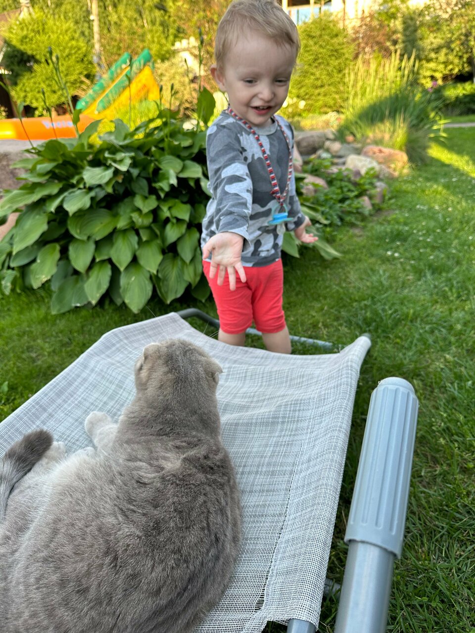 Гостевой дом Вишневый сад Городец-197