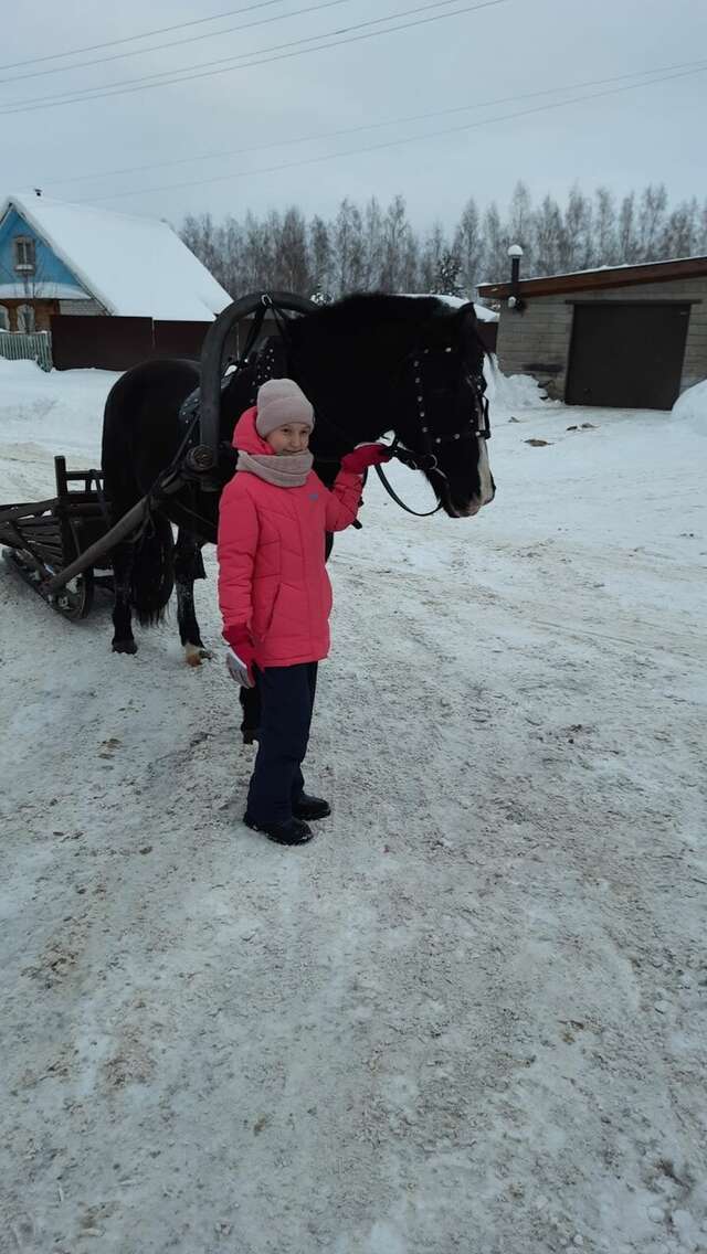 Гостевой дом Вишневый сад Городец-124