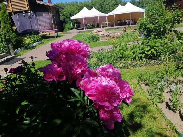 Гостевой дом Вишневый сад Городец-108
