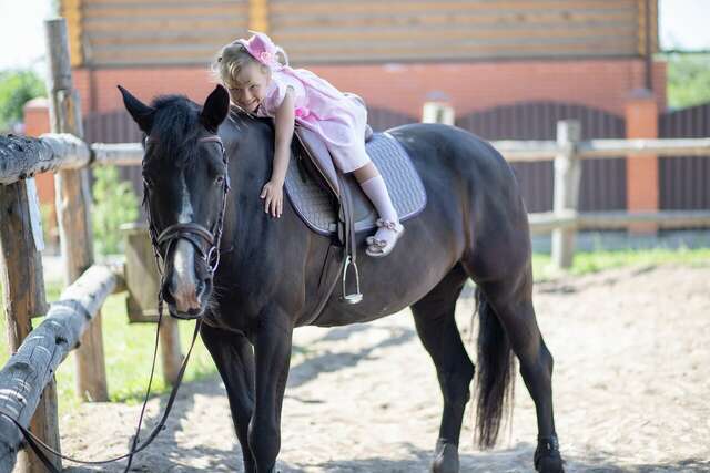 Гостевой дом Вишневый сад Городец-121