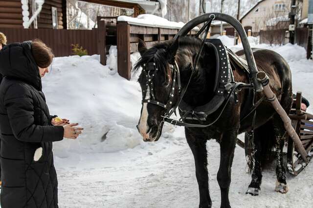 Гостевой дом Вишневый сад Городец-187