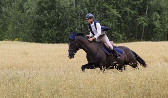 Гостевой дом Вишневый сад Городец-120